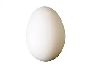 Reparación de huevos