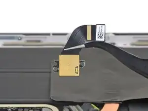 Cámara Trasera