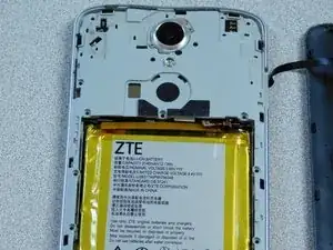 Rear Facing Camera