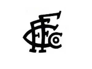 Reparación de cámara Foth