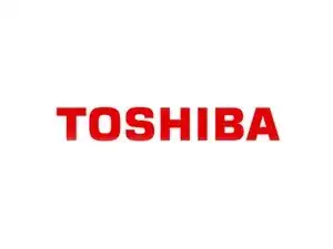 Reparación de Netbook Toshiba