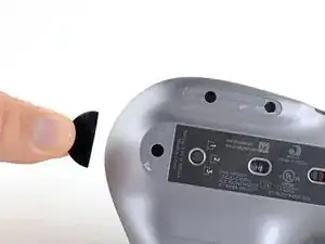 Pies del Ratón (Mouse)