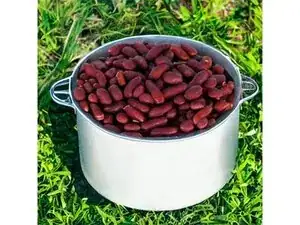 Beans