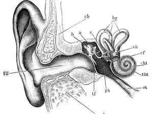 Reparación de audiometría