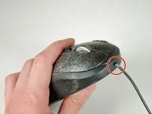 Cable