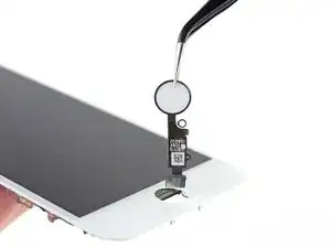 Botón de inicio/Sensor Touch ID