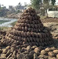 Dung