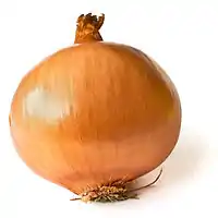 Photo d'un oignon