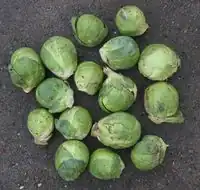 Spruitjes.jpg