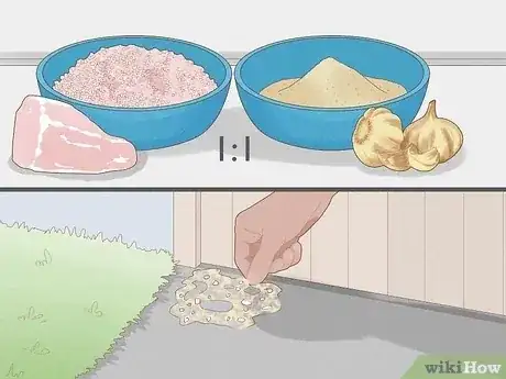 صورة عنوانها Get Rid of Snakes Step 14
