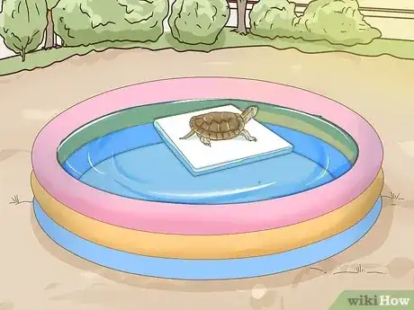 صورة عنوانها Care for a Red Eared Slider Turtle Step 18