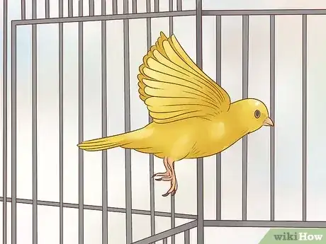 صورة عنوانها Keep a Single Canary Step 12