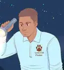العثور على قطة ضائعة