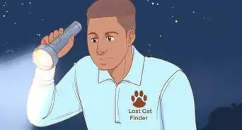 العثور على قطة ضائعة