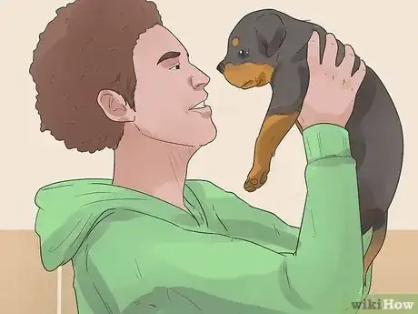 صورة عنوانها Care for a Rottweiler Puppy Step 3