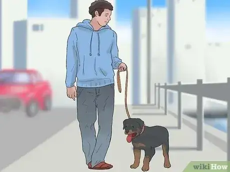 صورة عنوانها Care for a Rottweiler Puppy Step 12