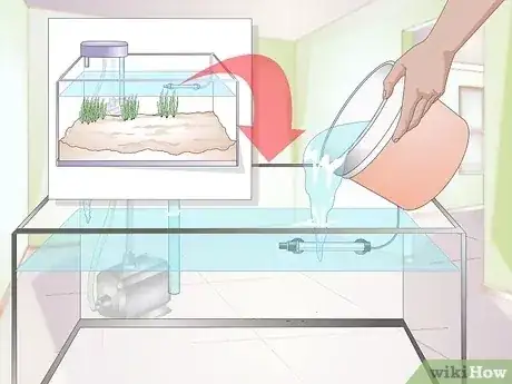 صورة عنوانها Acclimate a Fish Step 17