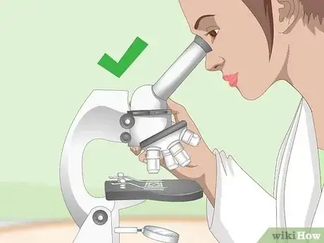 صورة عنوانها Use a Light Microscope Step 10