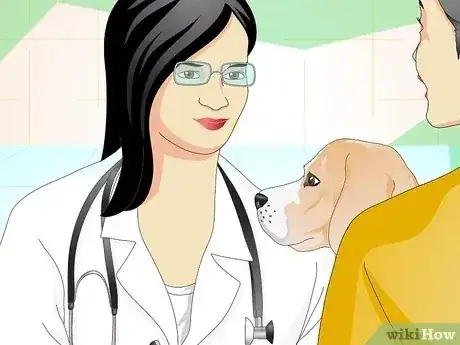 صورة عنوانها Add Fiber to a Dog's Diet Step 3