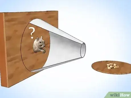 صورة عنوانها Get Rid of Squirrels in the Attic Step 3