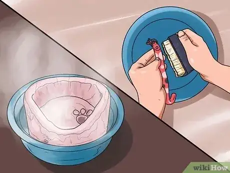 صورة عنوانها Identify Mange on Dogs Step 15