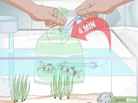 صورة عنوانها Acclimate a Fish Step 6
