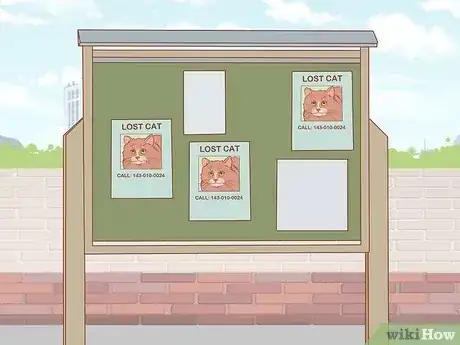صورة عنوانها Find a Lost Cat Step 29