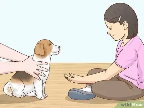 صورة عنوانها Care for an 8 Week Old Puppy Step 13