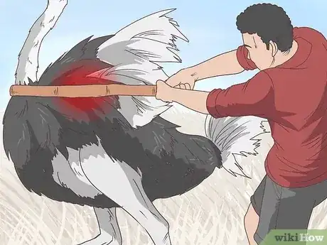 صورة عنوانها Survive an Encounter with an Ostrich Step 9