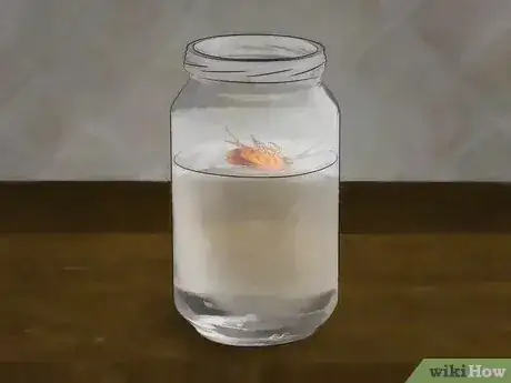 صورة عنوانها Get Rid of Roaches Step 14
