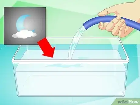 صورة عنوانها Change the Water in a Fish Bowl Step 2