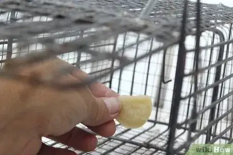 صورة عنوانها Set Mouse Traps Step 12