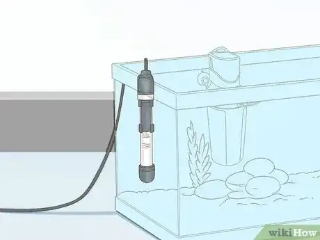 صورة عنوانها Care for a Red Eared Slider Turtle Step 11