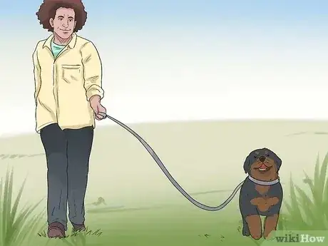 صورة عنوانها Care for a Rottweiler Puppy Step 6