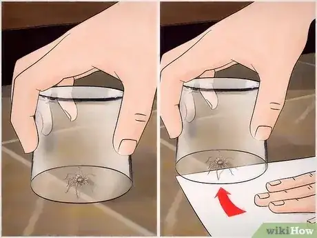 صورة عنوانها Kill Spiders when You Have Arachnophobia Step 8