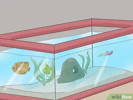 صورة عنوانها Set up a Tropical Freshwater Aquarium Step 16