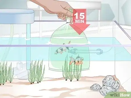 صورة عنوانها Acclimate a Fish Step 2