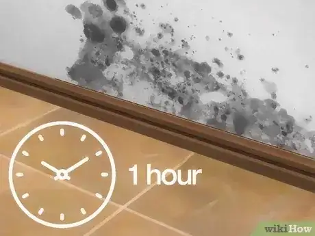 صورة عنوانها Kill Mold With Vinegar Step 5