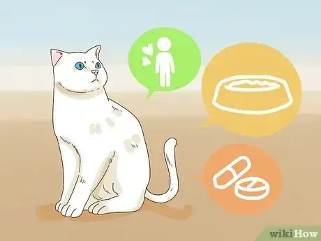 صورة عنوانها Leave Your Pets Alone While on Vacation Step 1