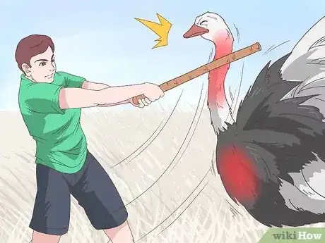 صورة عنوانها Survive an Encounter with an Ostrich Step 8