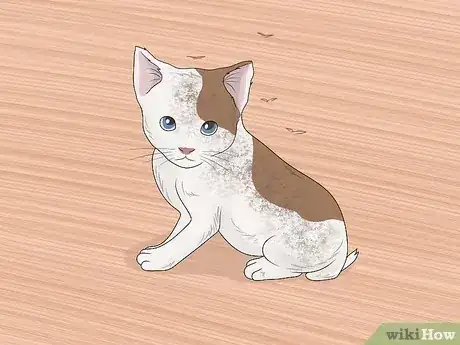 صورة عنوانها Bathe a Kitten Step 1