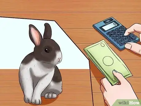 صورة عنوانها Make Sure Your Rabbit Has the Best Life You Can Give It Step 2