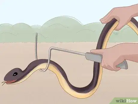 صورة عنوانها Get Rid of Snakes Step 5