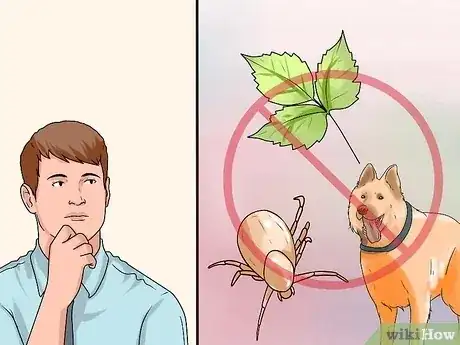 صورة عنوانها Treat Hives Naturally Step 2