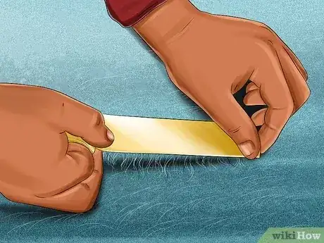 صورة عنوانها Remove Pet Hair Step 4
