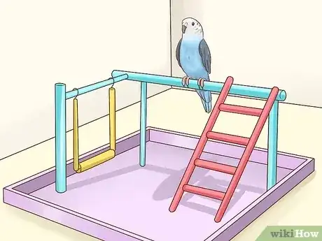 صورة عنوانها Keep a Parakeet Safe Out of Its Cage Step 8