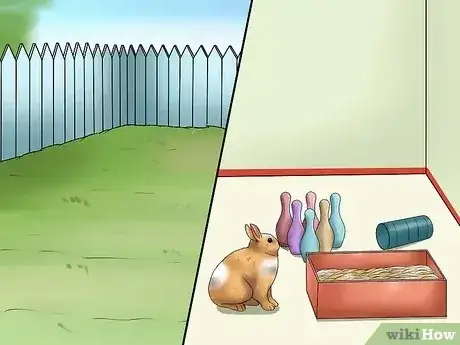 صورة عنوانها Make Sure Your Rabbit Has the Best Life You Can Give It Step 4