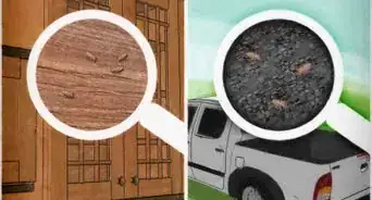 التخلص من بق الفراش
