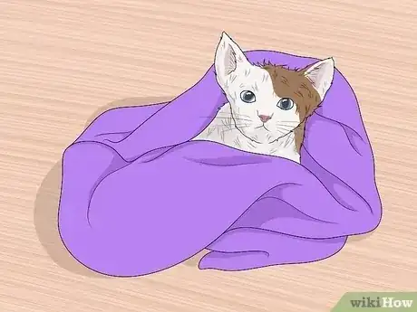 صورة عنوانها Bathe a Kitten Step 16