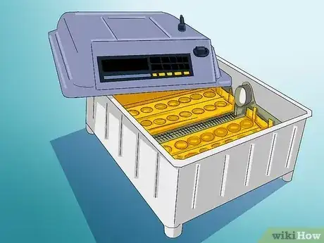 صورة عنوانها Raise Quail Step 11